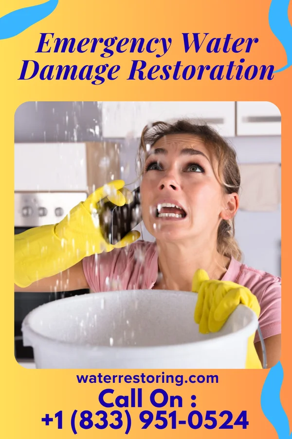Emergency Water Damage Restoration in Stanton, IA