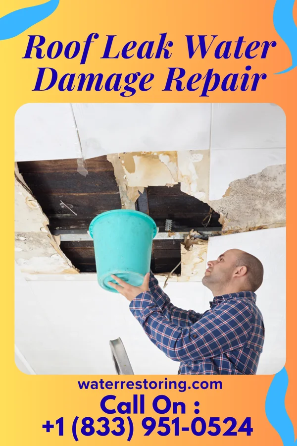 Roof Leak Water Damage Repair in Stanton, IA