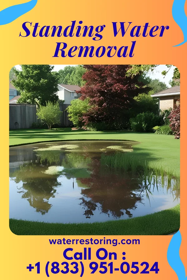 Standing Water Removal in Stanton, IA